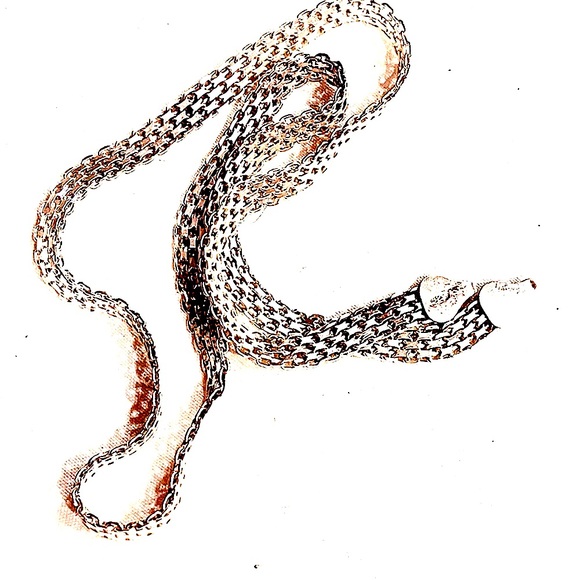 1/4 inch 17&3/4” sterling silver chain❣️needs a clasp. Find SS clasp @ Michaels - Picture 2 of 5